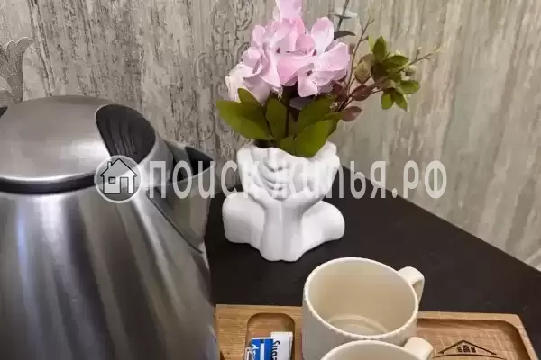 Отель «Оникс», Павловск