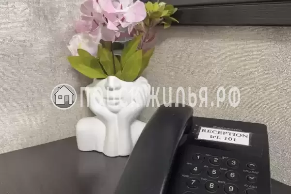 Отель «Оникс», Павловск