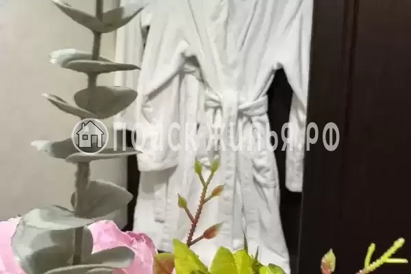 Отель «Оникс», Павловск