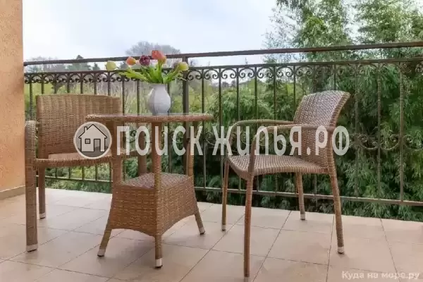  «Апельсин», Адлер