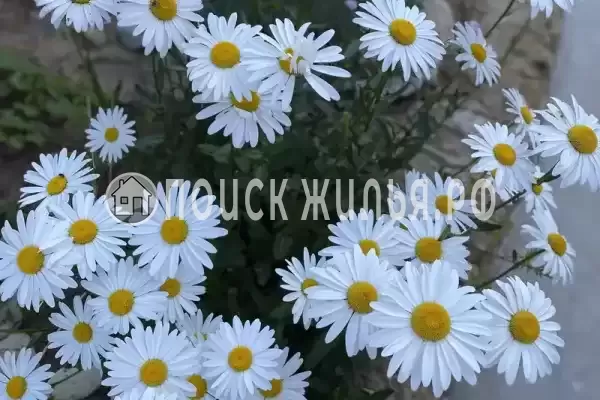 «Нептун 2», Евпатория «Нептун 2», Евпатория