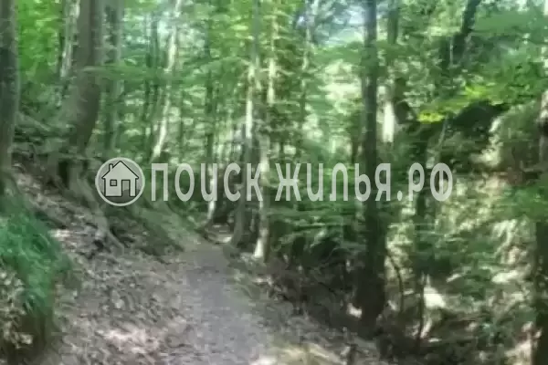 «Релакс», Туапсе