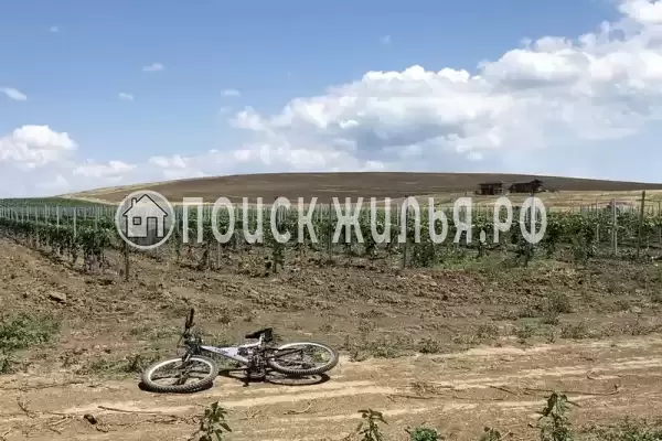 «Фридом», Веселовка