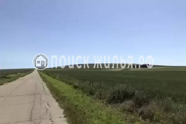 «Фридом», Веселовка