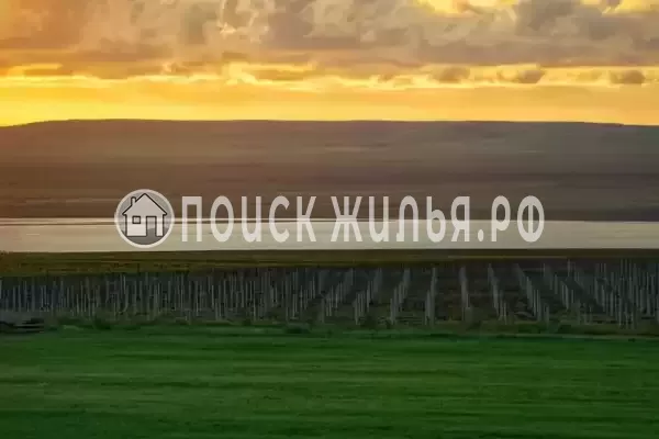 «Фридом», Веселовка