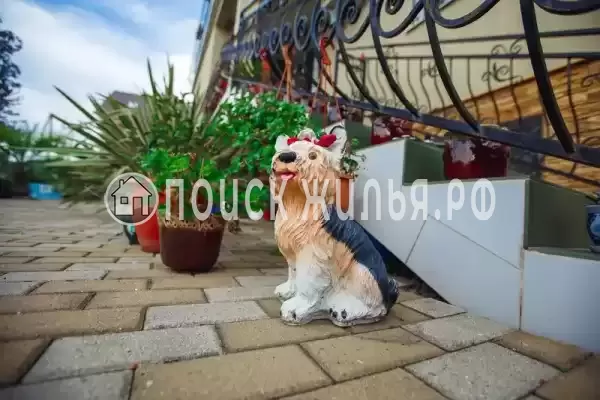 «На Набережной 11», Адлер