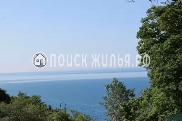 Частный сектор «Коттедж Зеленый банан», Головинка Частный сектор «Коттедж Зеленый банан», Головинка