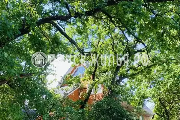 Отель «Риверсайд», Рюмино-Красноярский