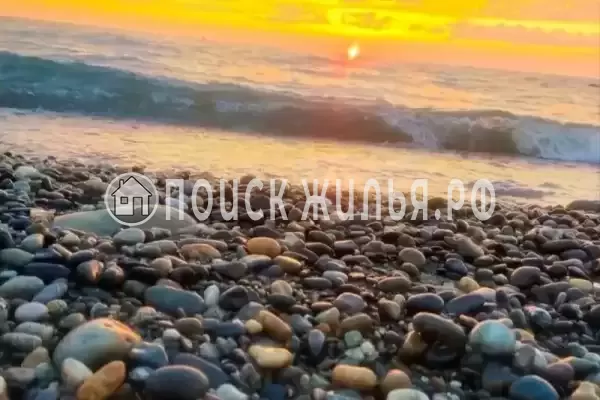 «Чародейка», Адлер