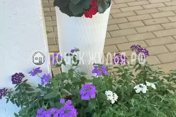 «Чародейка», Адлер