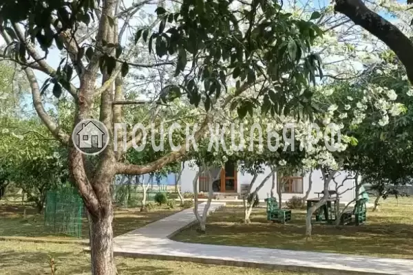 Частный сектор «Мандарин», Пицунда Частный сектор «Мандарин», Пицунда