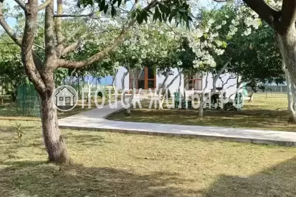 Частный сектор «Мандарин», Пицунда Частный сектор «Мандарин», Пицунда