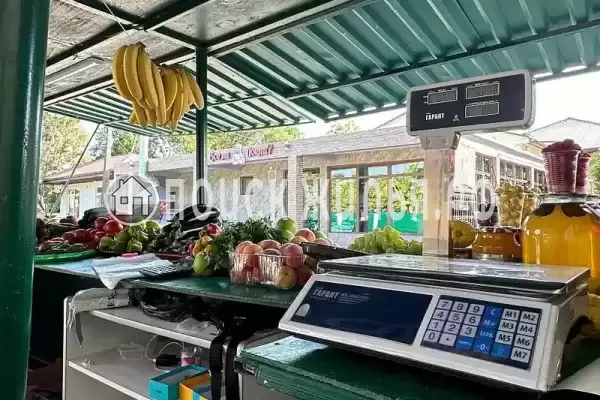 Частный сектор «Мандарин», Пицунда Частный сектор «Мандарин», Пицунда