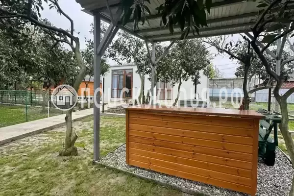 Частный сектор «Мандарин», Пицунда Частный сектор «Мандарин», Пицунда