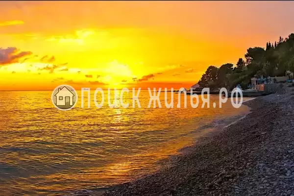 «Rakhat Vardane», Вардане «Rakhat Vardane», Вардане