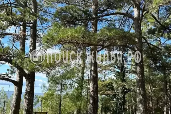 База отдыха «Лунная Поляна», Сочи