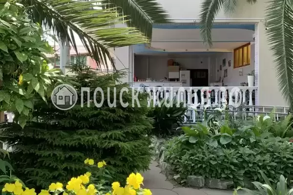 «Тропики», Адлер