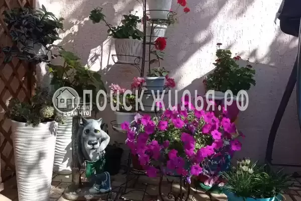 Частный сектор «Александр», Витязево Частный сектор «Александр», Витязево