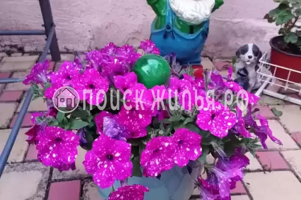 Частный сектор «Александр», Витязево Частный сектор «Александр», Витязево