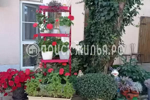 Частный сектор «Александр», Витязево Частный сектор «Александр», Витязево