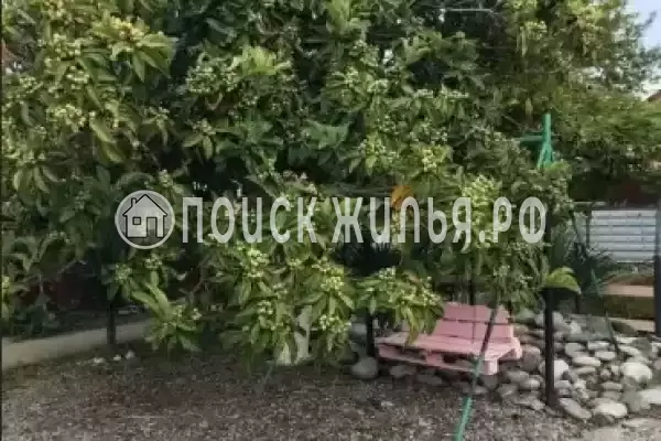 Гостевой дом «У Аси и Альберта», Пицунда Гостевой дом «У Аси и Альберта», Пицунда