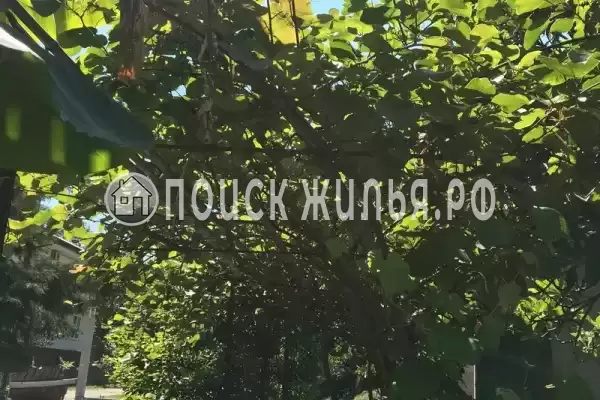 Гостевой дом «У Аси и Альберта», Пицунда Гостевой дом «У Аси и Альберта», Пицунда