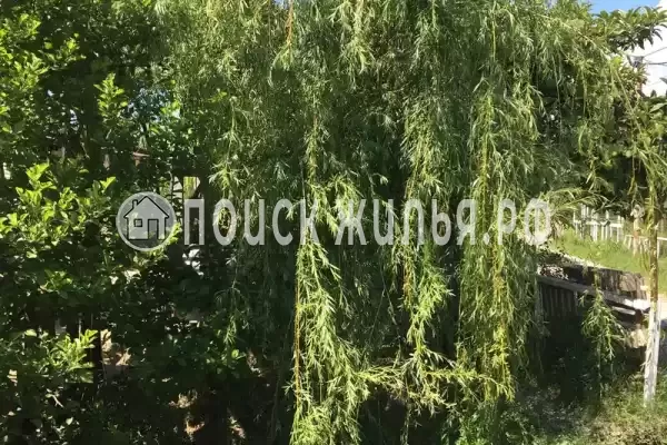 Гостевой дом «У Аси и Альберта», Пицунда Гостевой дом «У Аси и Альберта», Пицунда