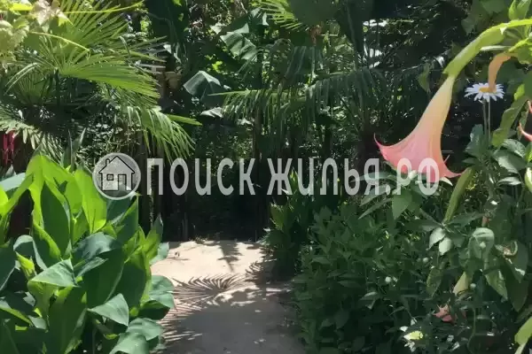 Гостевой дом «У Аси и Альберта»