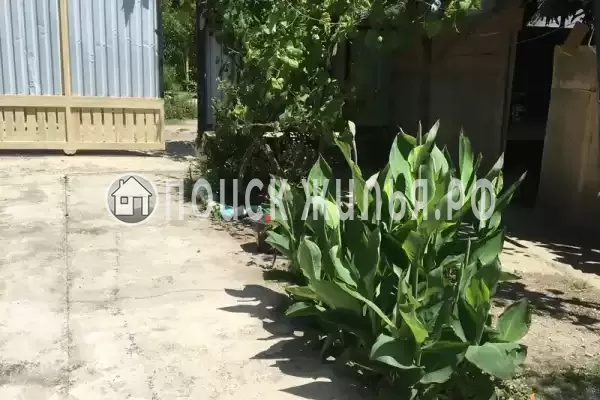 Гостевой дом «У Аси и Альберта», Пицунда Гостевой дом «У Аси и Альберта», Пицунда