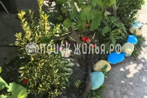 Гостевой дом «У Аси и Альберта», Пицунда Гостевой дом «У Аси и Альберта», Пицунда