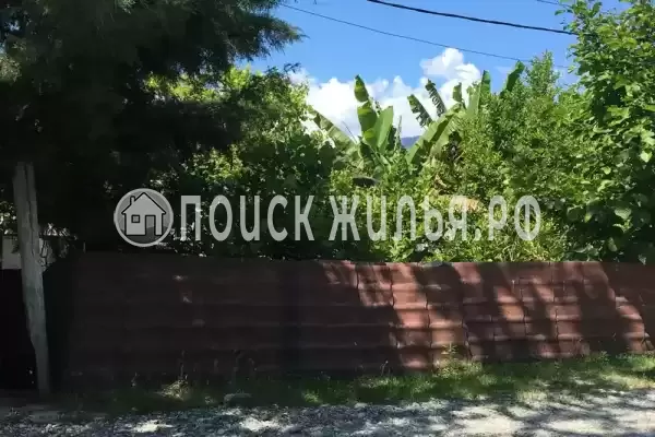 Гостевой дом «У Аси и Альберта», Пицунда Гостевой дом «У Аси и Альберта», Пицунда