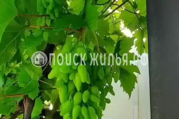 «Италмаз», Джемете