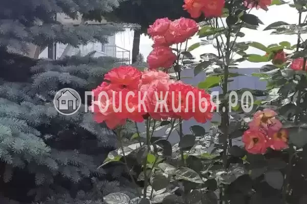 «Италмаз», Джемете