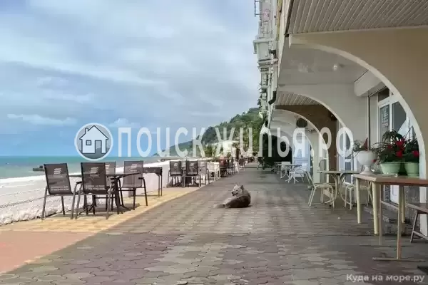 «Кипарис», Лоо «Кипарис», Лоо