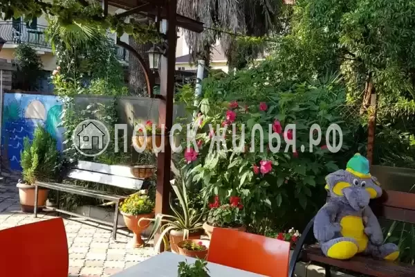 «Аделина», Адлер «Аделина», Адлер