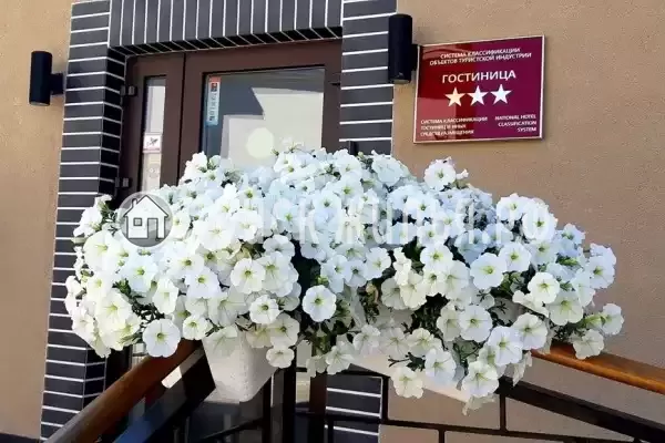 Гостиница «Геркулес», Советск Гостиница «Геркулес», Советск