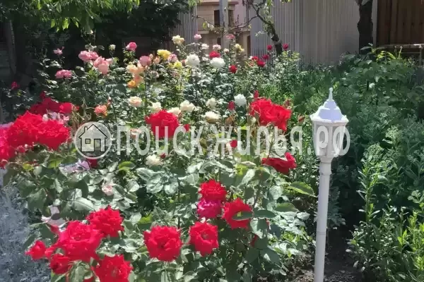 «Солнечный», Сукко «Солнечный», Сукко