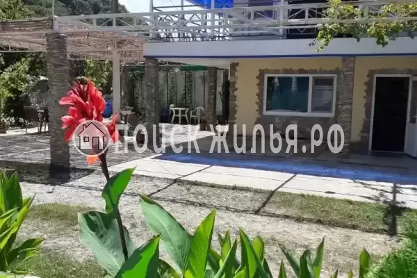 «Семейный», Пляхо «Семейный», Пляхо