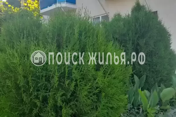 «Семейный», Пляхо «Семейный», Пляхо