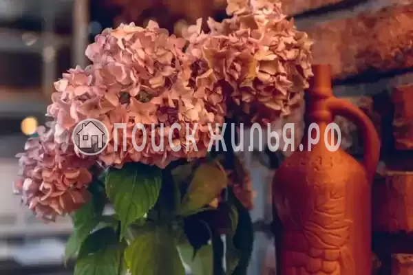 Гостиница "Глория", Пицунда, ул. п. Лдзаа, д. улНозадзе