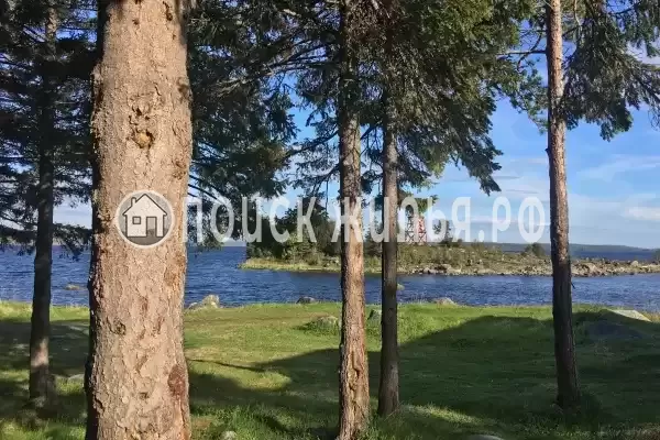 Отель «Cedar Grass Белое Море», Умба