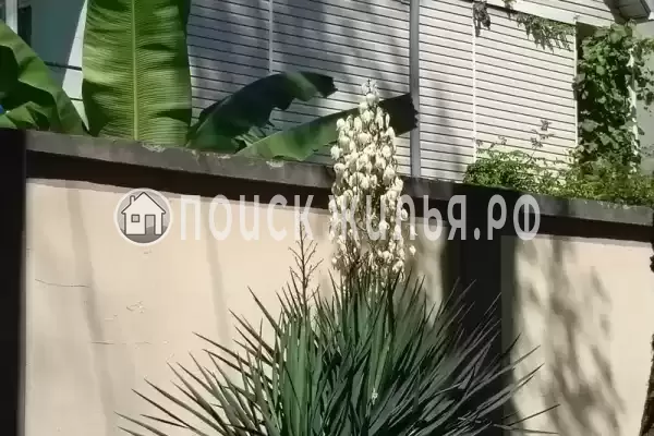 «Орхидея», Вардане