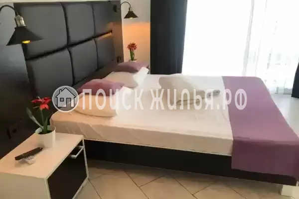 «Султан», Ольгинка