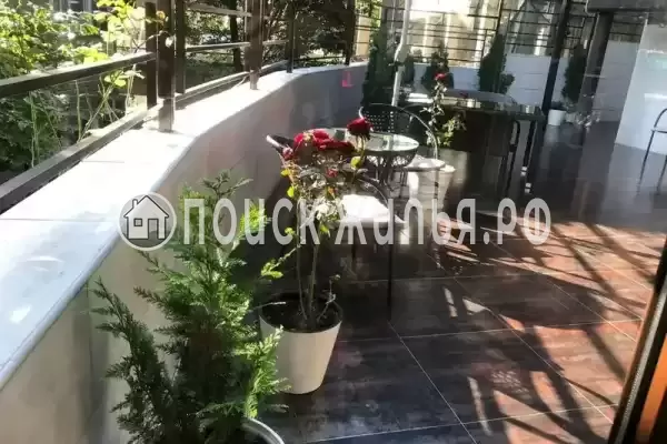 «Султан», Ольгинка