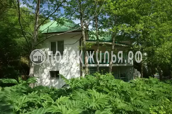 Пансионат «Ай-Лия», Чайка