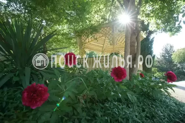 Пансионат «Ай-Лия», Чайка