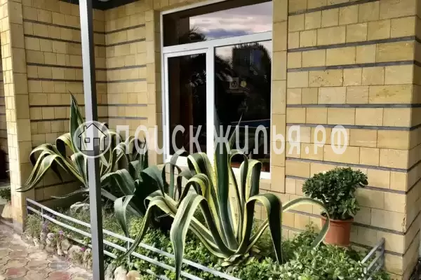 Частный сектор «Дом отдыха Виноградный», Сочи