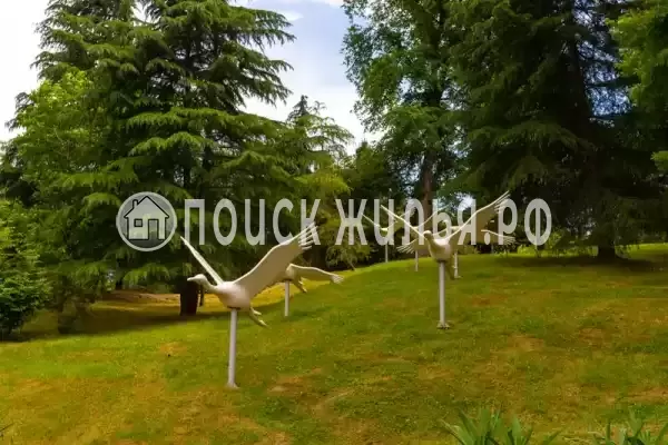 «На Севастопольском», Сочи