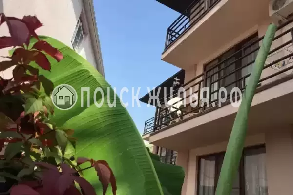 «Брауни», Ольгинка