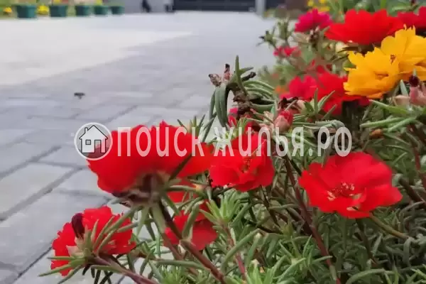 Гостевой дом «У Сюзанны», Цандрипш